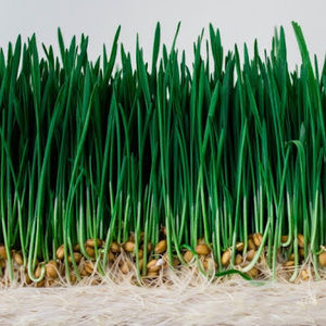 Meet your Posher, Luiz fernando